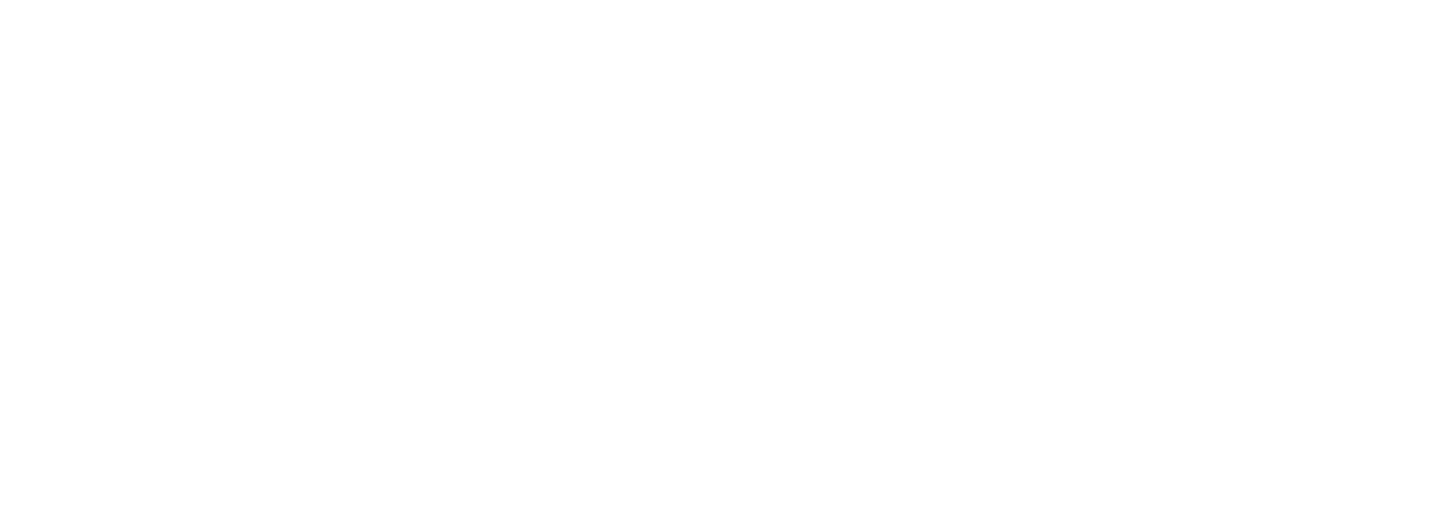 Anidjar & Levine